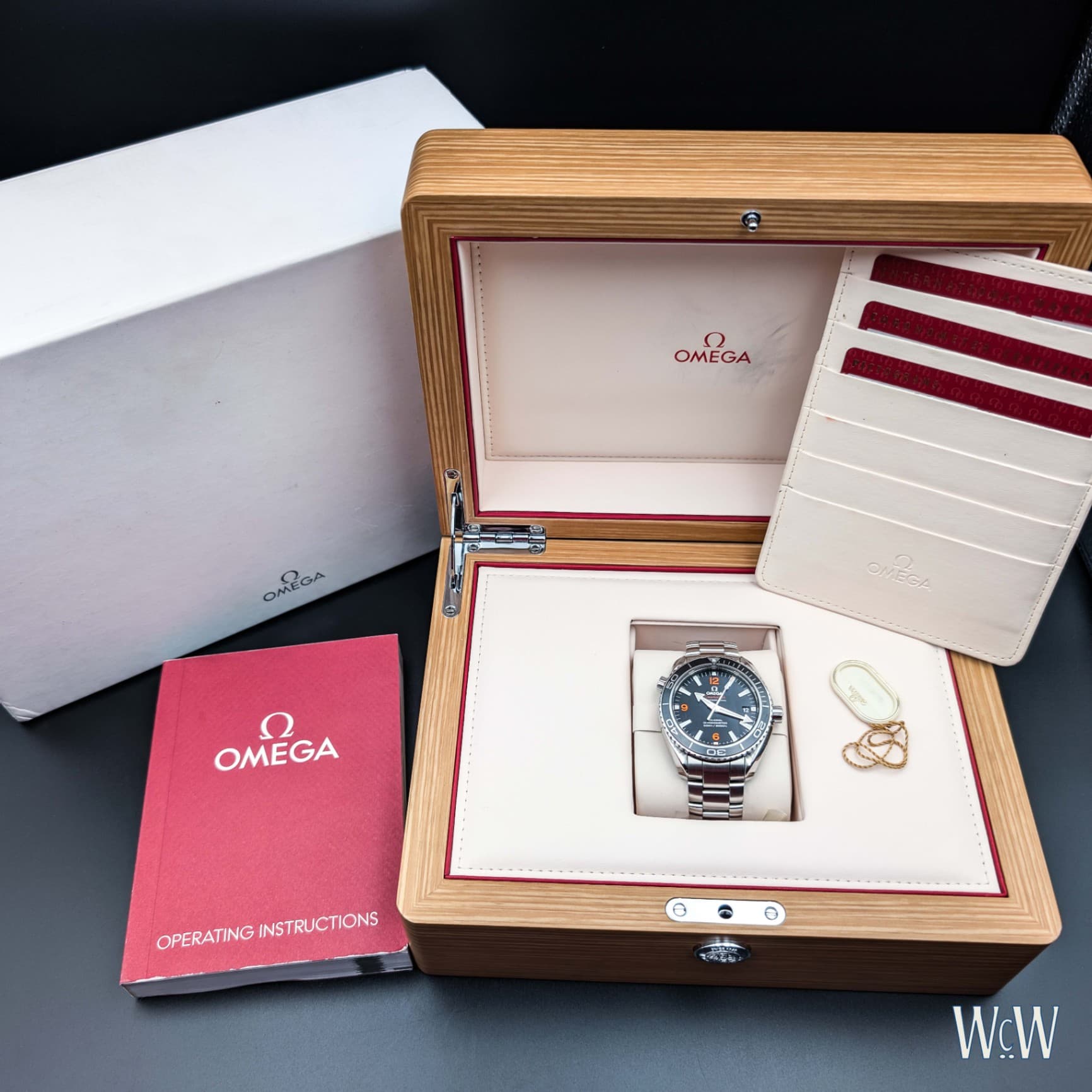 Omega Seamaster 600 Black Dial