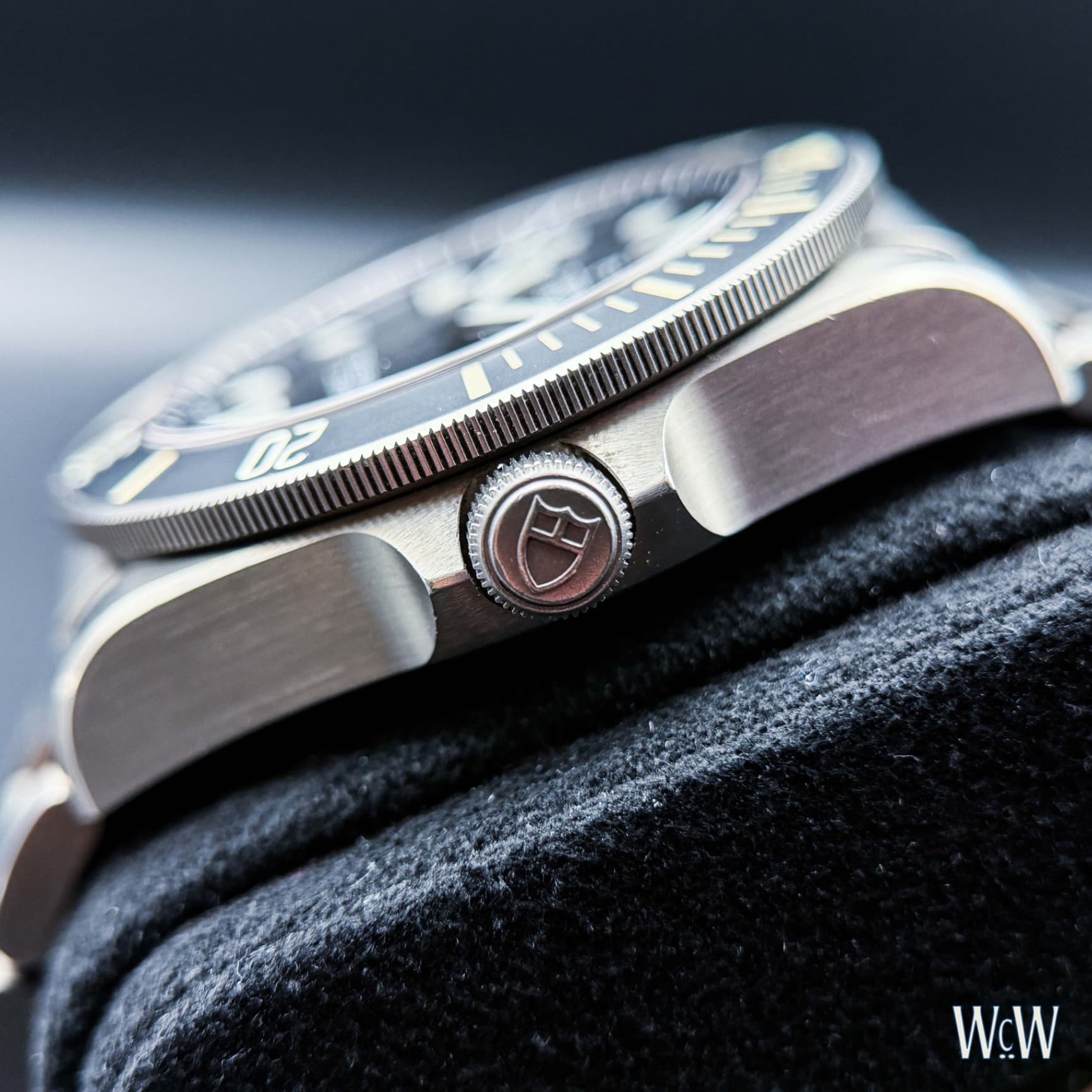 Tudor Pelagos