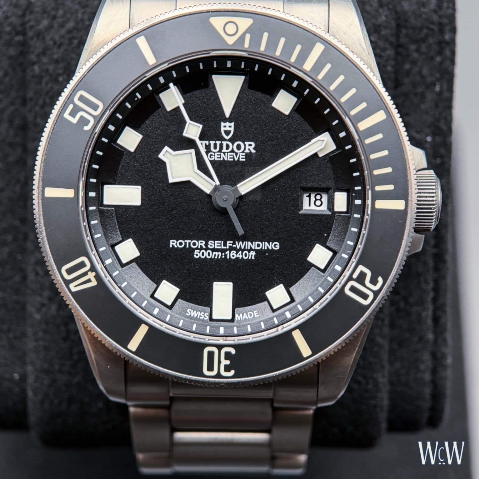 Tudor Pelagos