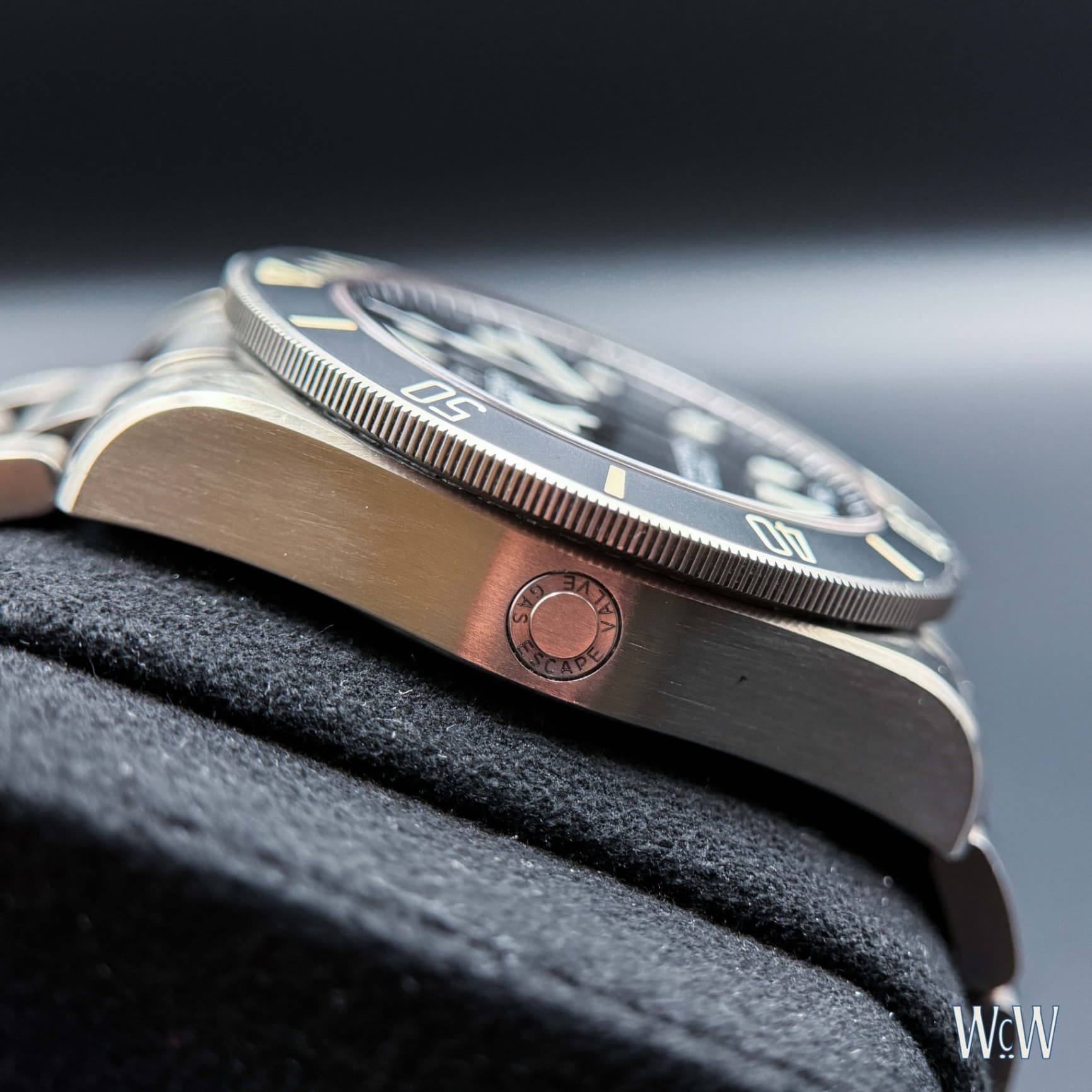 Tudor Pelagos