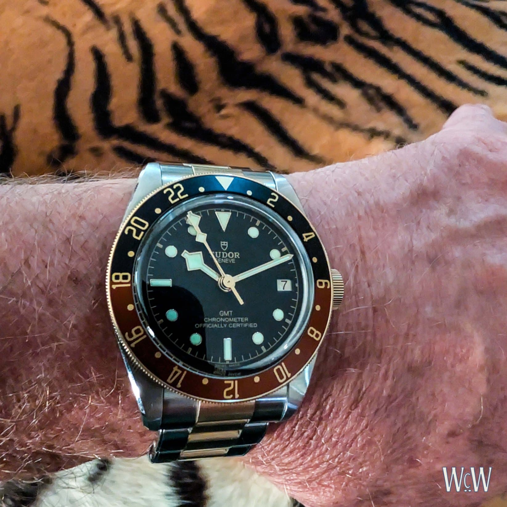 Tudor Black Bay S&G Root Beer